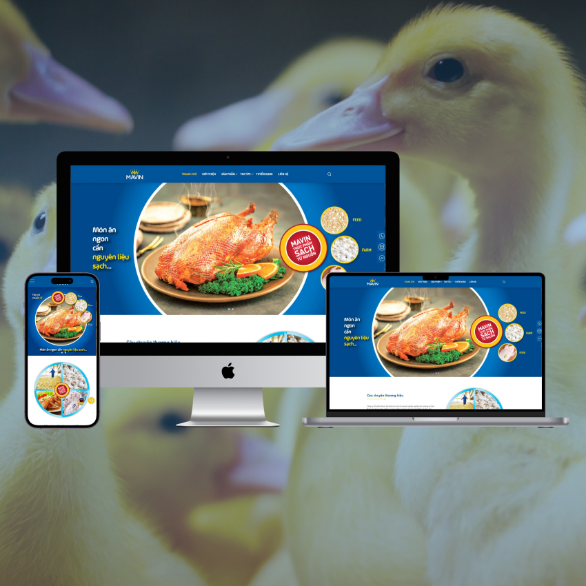 Thiết kế website thương hiệu Mavin Duck
